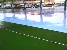 Sport Floor